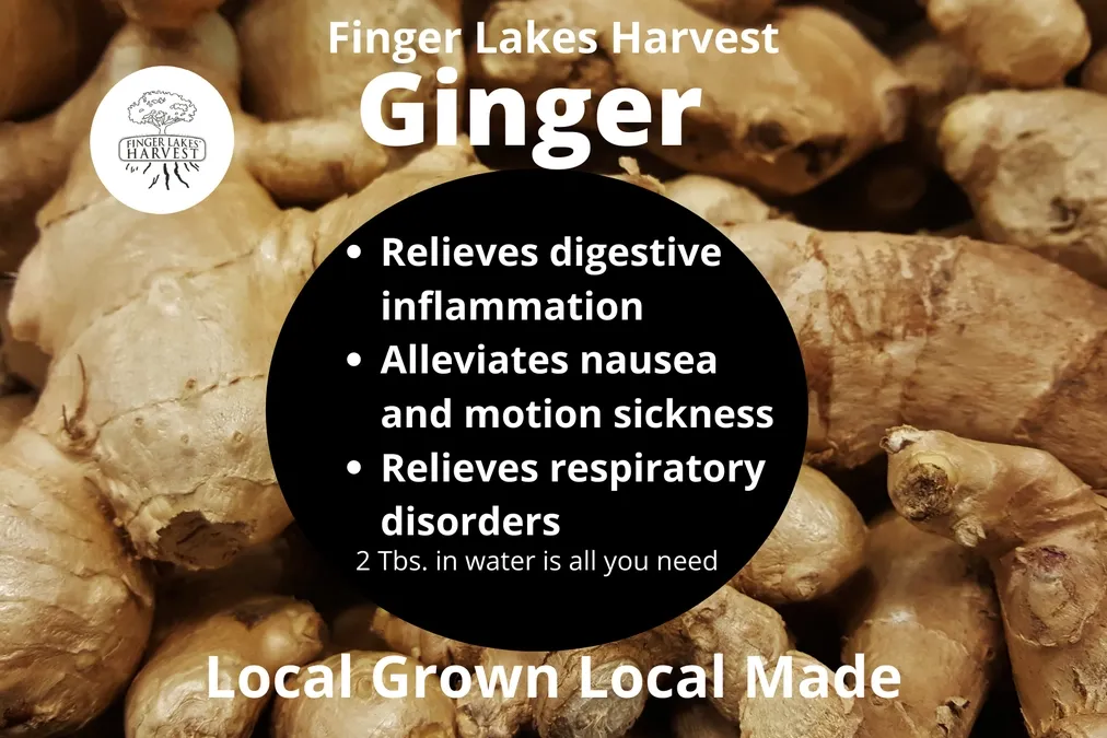 Ginger Tonic