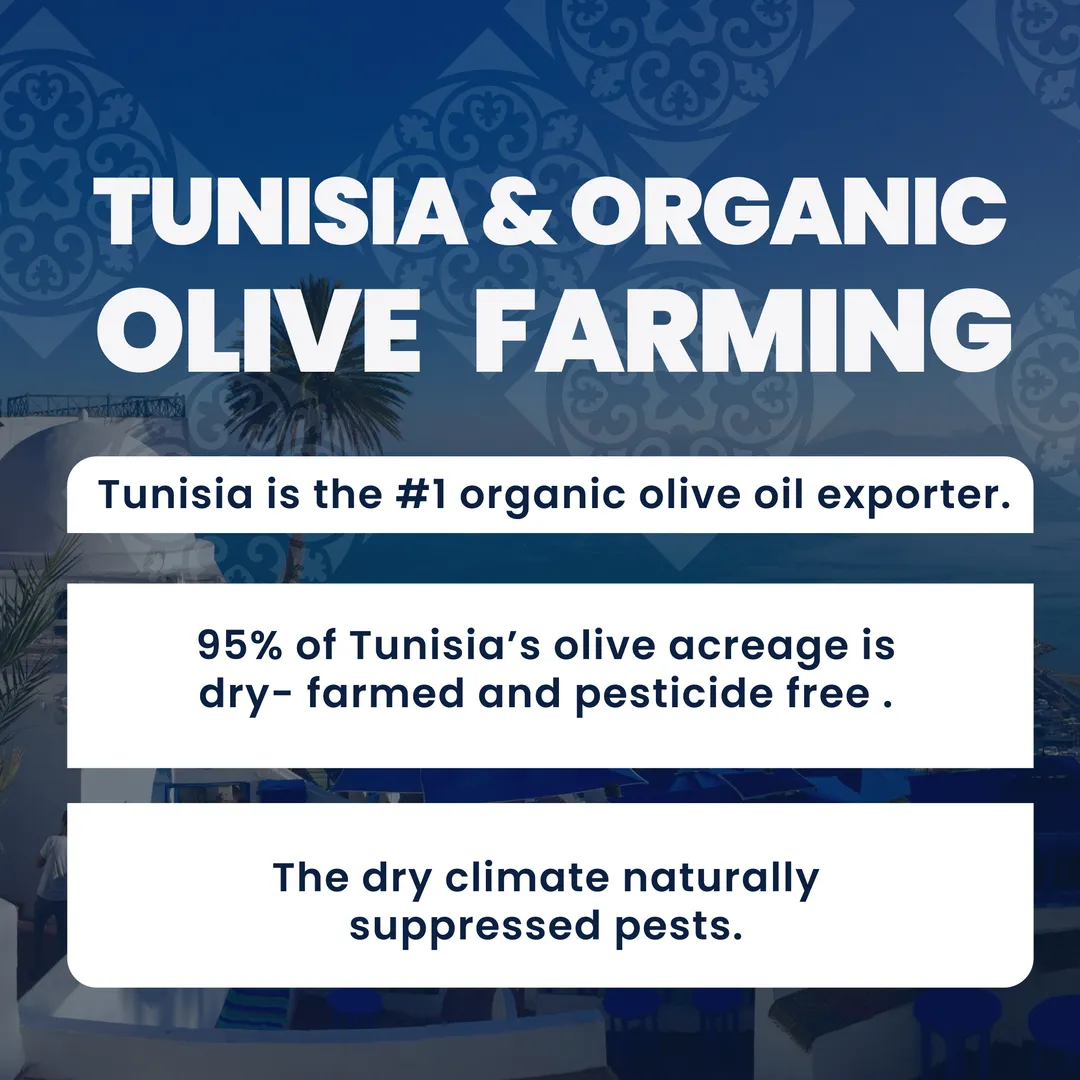 Firma Organic Extra Virgin Olive Oil, Single Origin Tunisian EVOO, 16.9 fl oz
