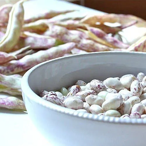 Cranberry Beans - by Food To Live