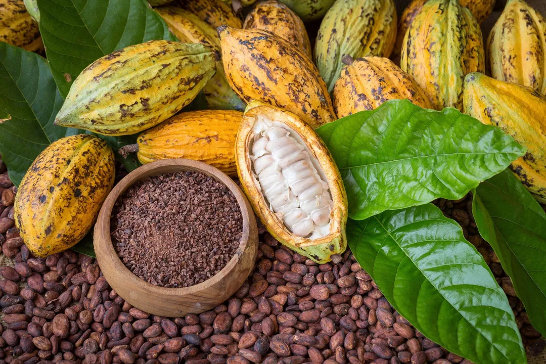 Organic Cacao Butter Wafers - by Food To Live
