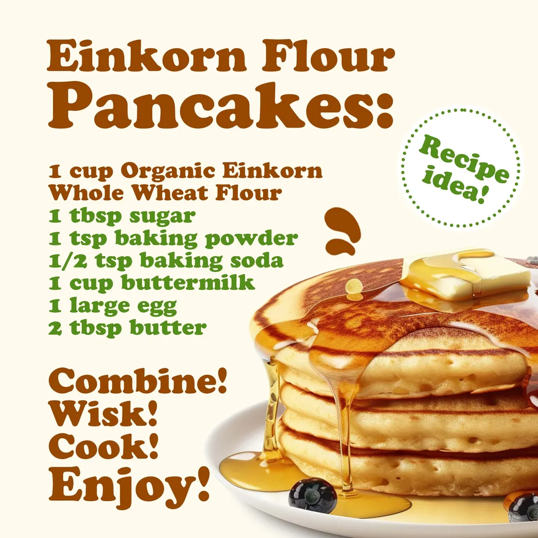 Organic Einkorn Whole Wheat Flour - by Food To Live