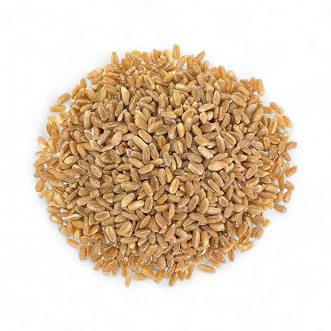 Organic Italian Pearled Farro – Whole Farro Grain in Bulk