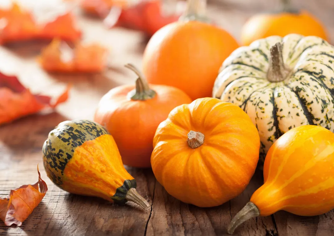 Organic Raw Pumpkin Seeds in Shell - by Food To Live