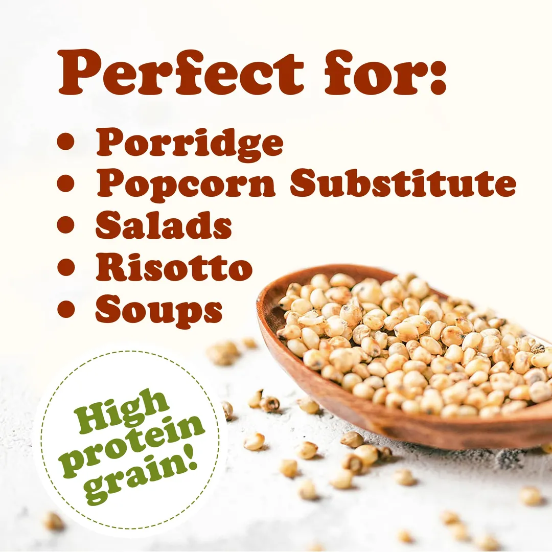 Organic Whole Grain Sorghum - by Food To Live