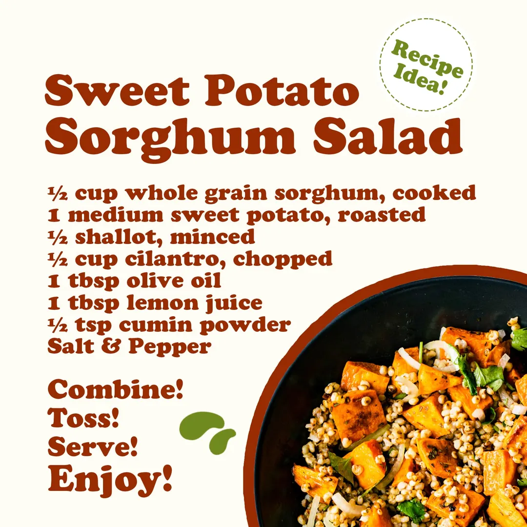 Organic Whole Grain Sorghum - by Food To Live