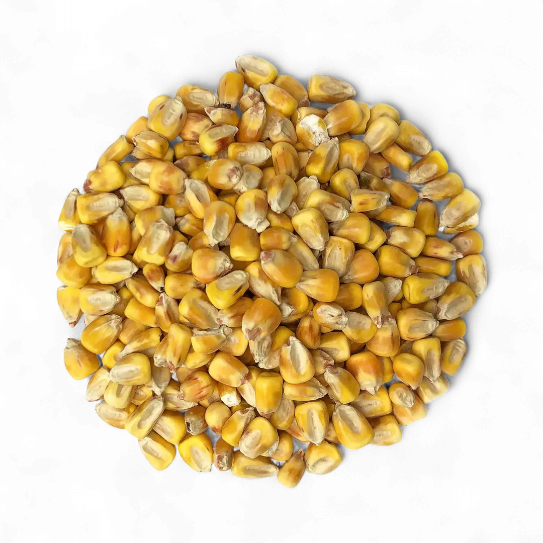 Organic Yellow Whole Corn - by Food To Live