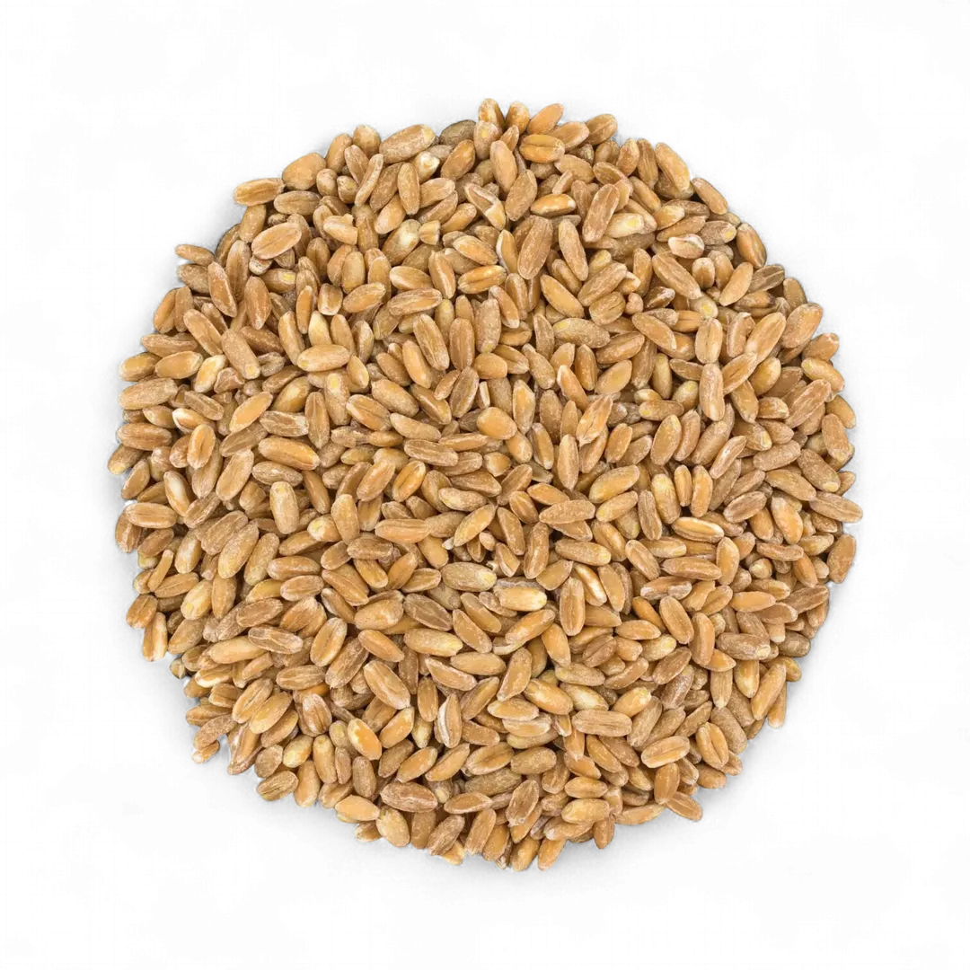 Pearled Farro Grain - by Food To Live