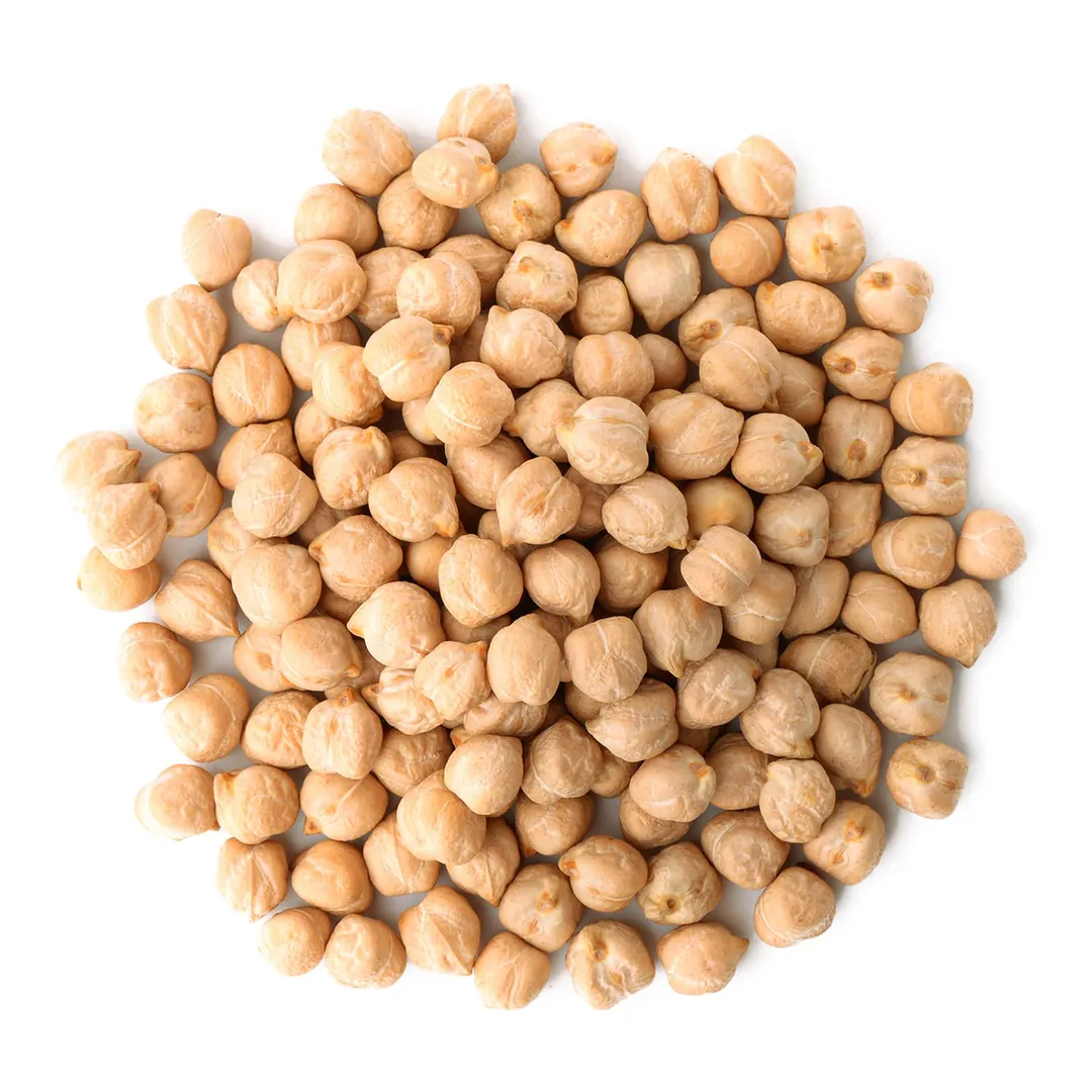 Organic Garbanzo Beans / Dried Chickpeas – Raw, Sproutable