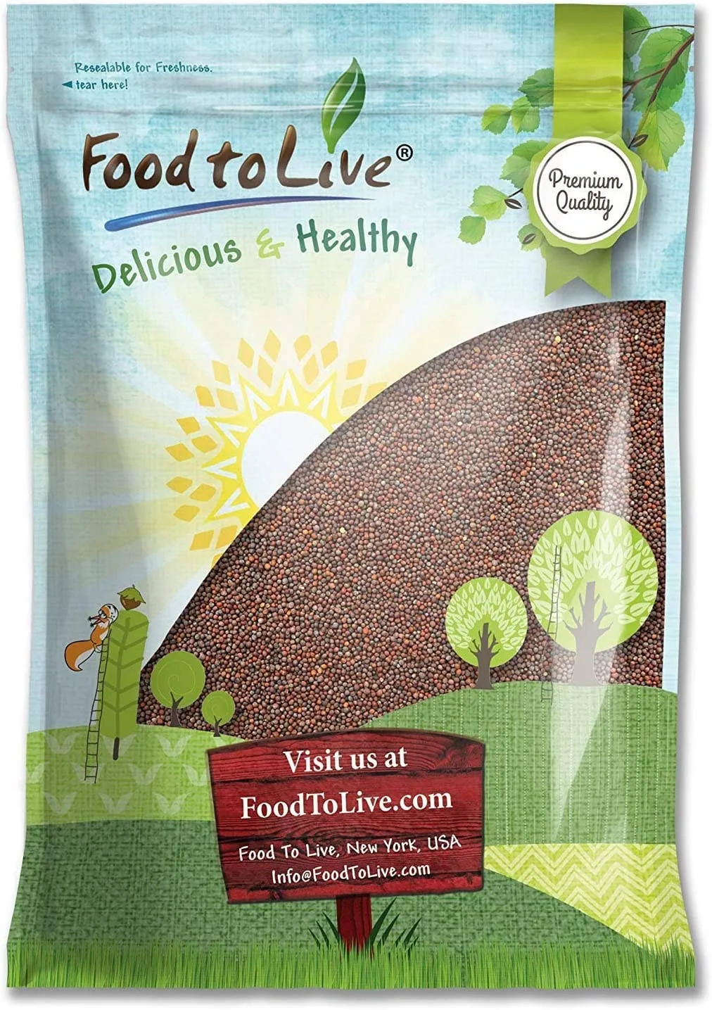 Broccoli Seeds for Sprouting – Kosher, Vegan, Sirtfood, Raw