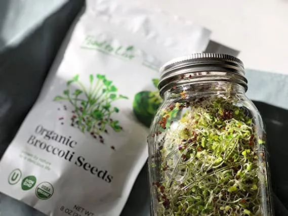Organic Broccoli Seeds for Sprouting – Raw, Grow Sprouts