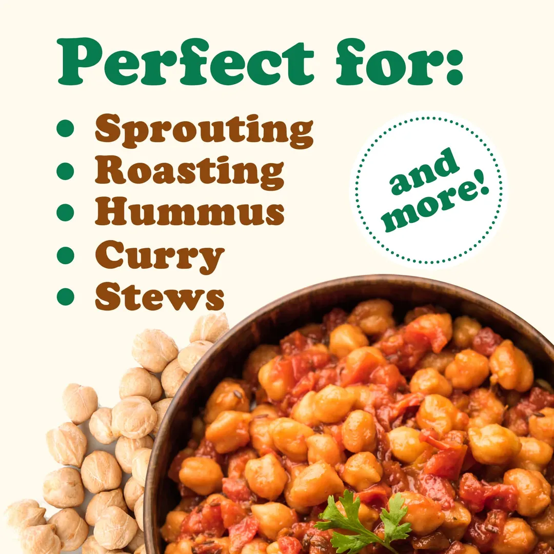 Organic Garbanzo Beans / Dried Chickpeas – Raw, Sproutable