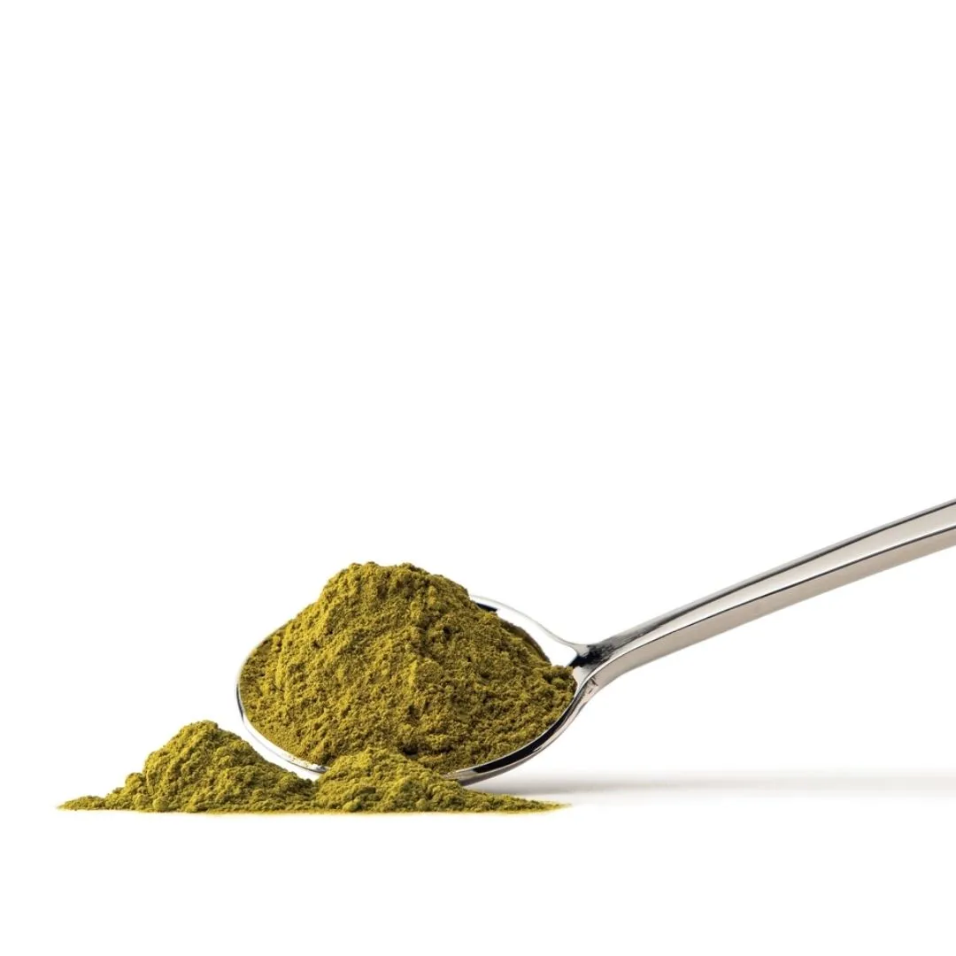 Moringa Leaf Powder - Organic (8 oz)