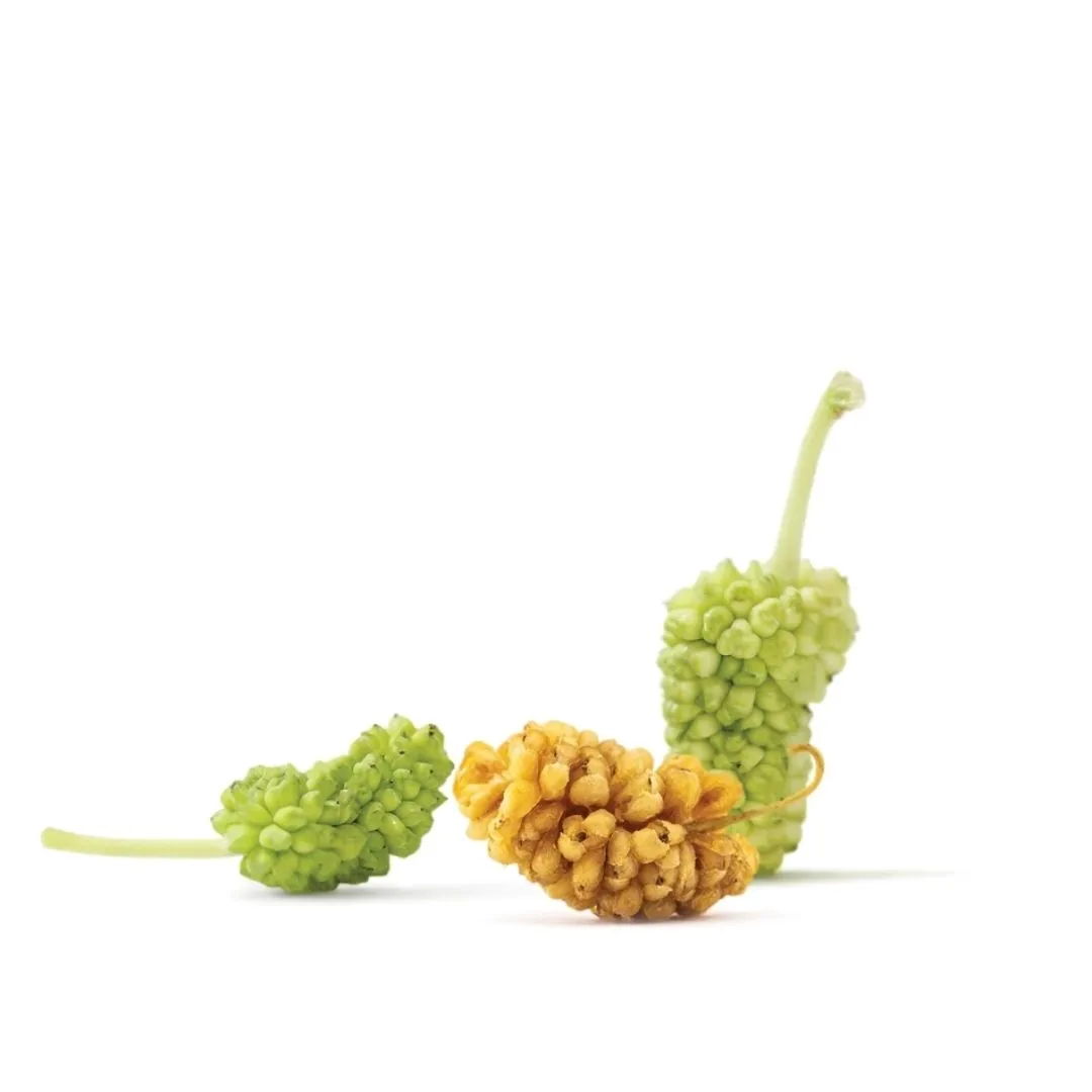 White Mulberries - Organic (8 oz)
