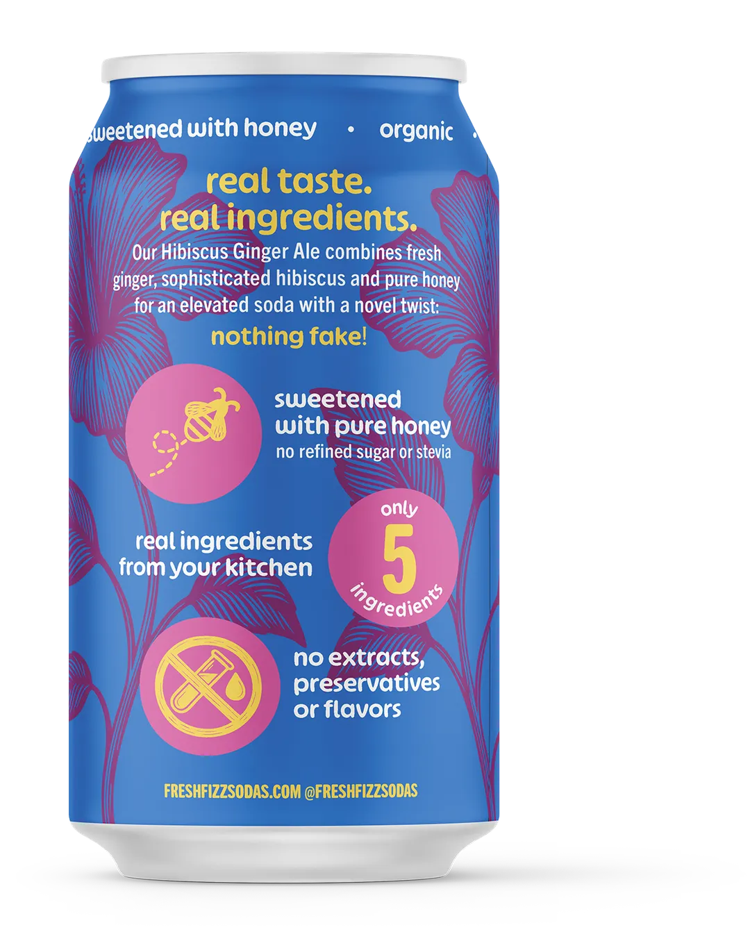 Hibiscus Ginger Ale - Natural Soda (12-Pack)