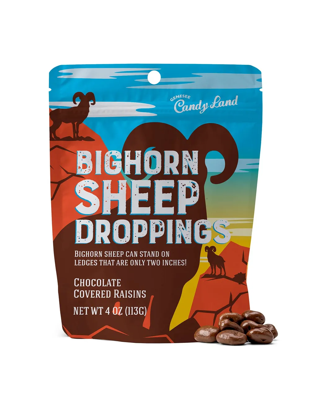 Bighorn Sheep Droppings (chocolate covered raisins)