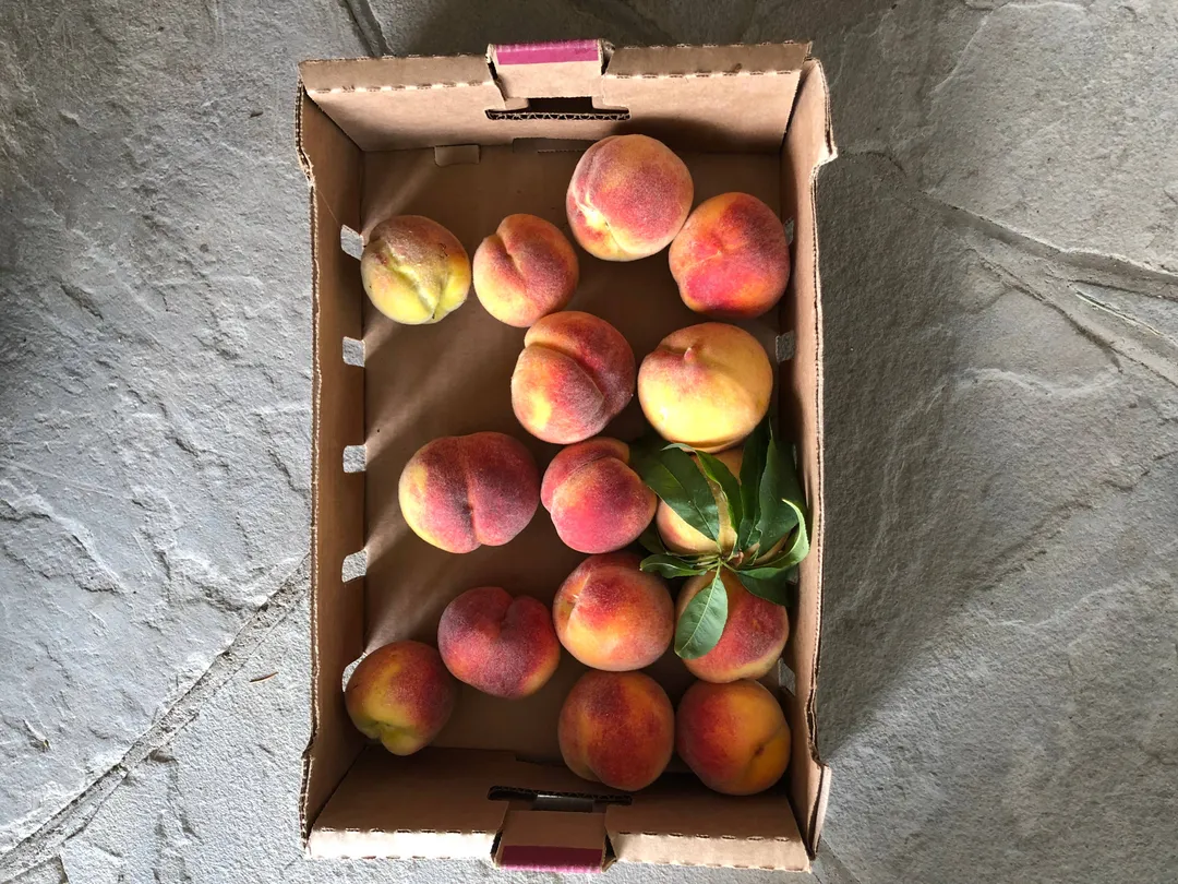 Barrel Aged Peach Bitters