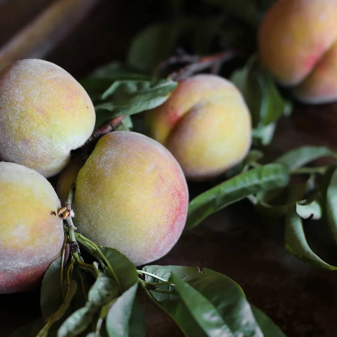 Barrel Aged Peach Bitters