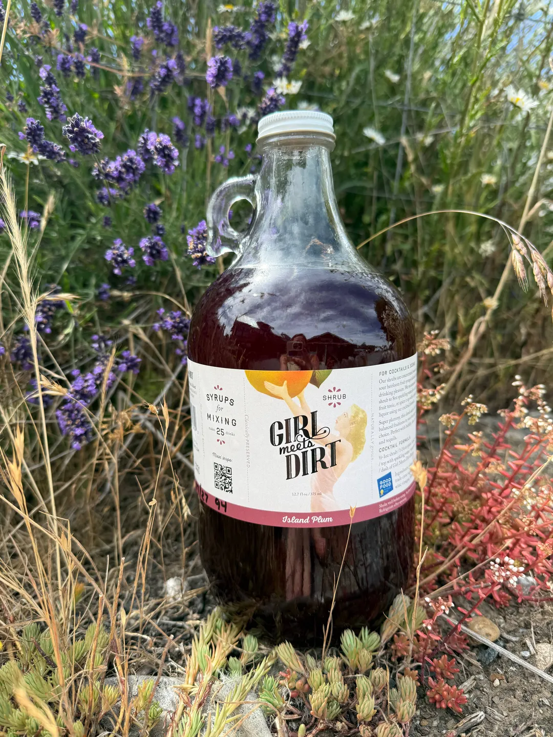 Bartender's Growler: Island Plum Shrub 64fl oz