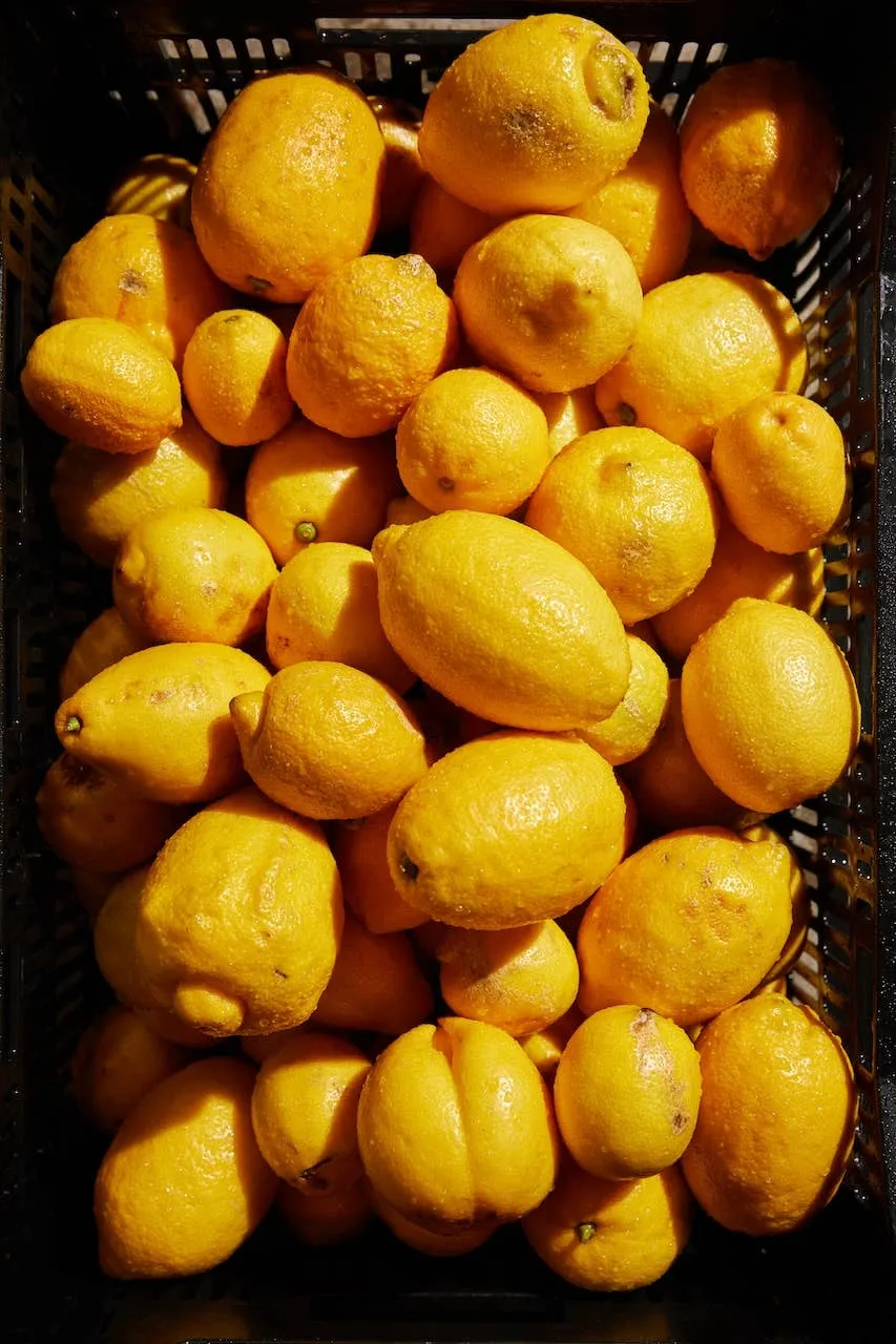 Bartender's Growler: Lemon Lavender Shrub 64fl oz 