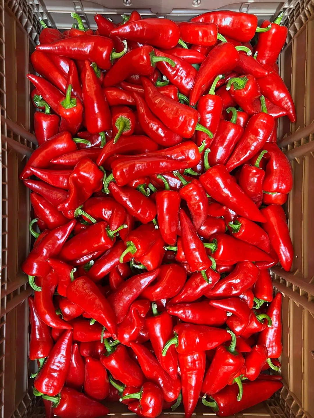 Chef's Gallon: Hot Damn Pepper Jam 150oz