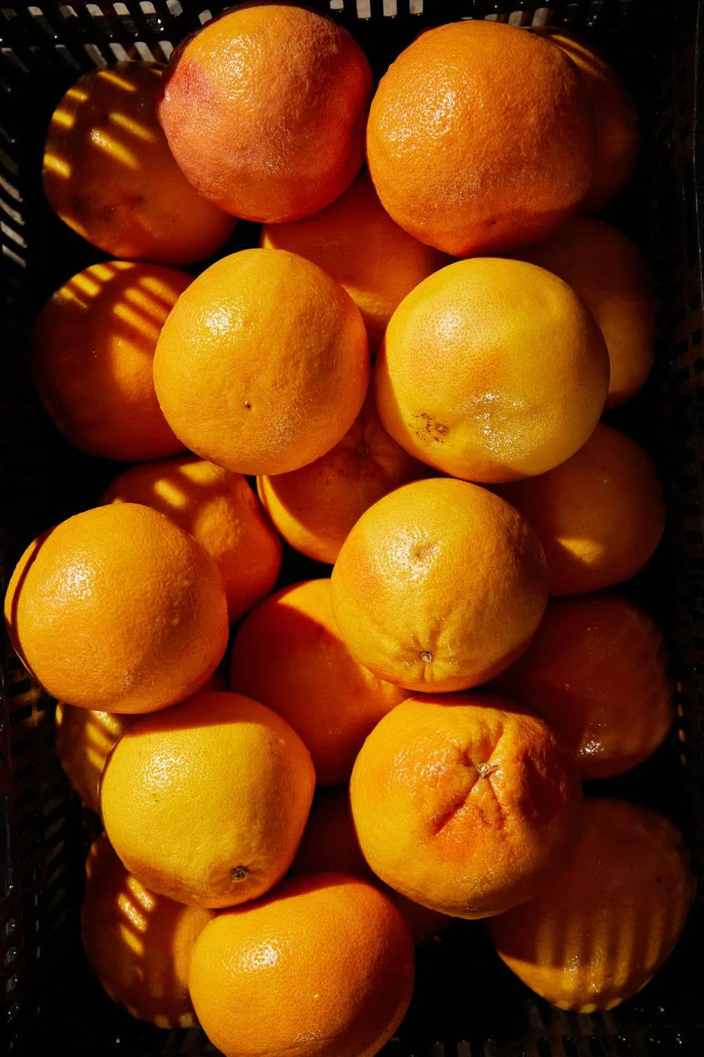 Orange Peppered Pear Spoon Preserves 7.75oz