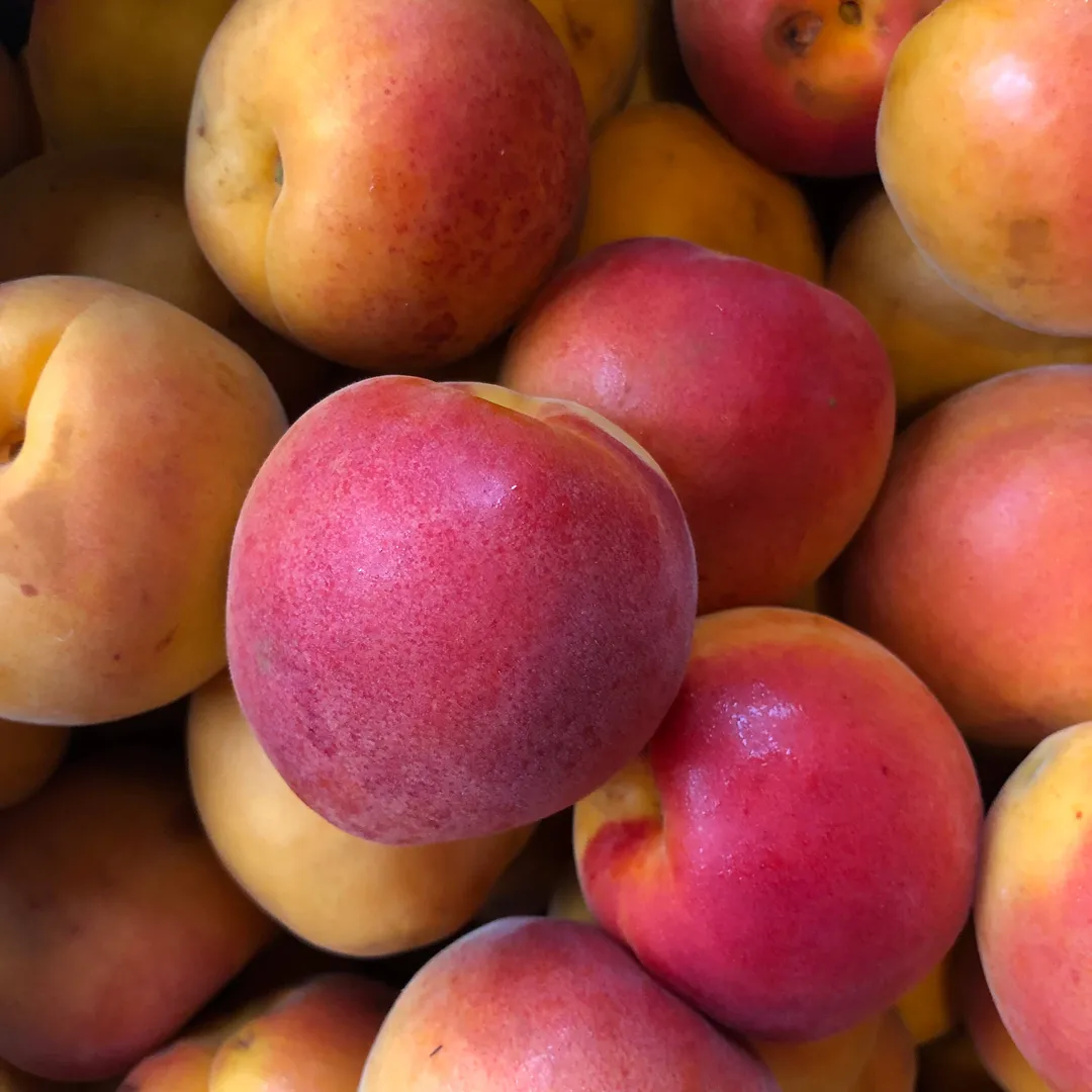 Peach Shrub 12.7fl oz