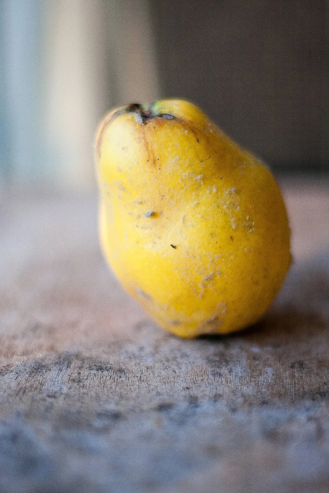 Quince Shrub 12.7fl oz