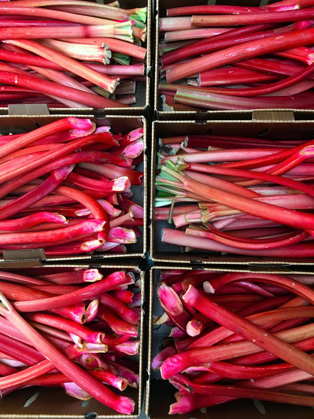 Rhubarb Shrub 12.7fl oz