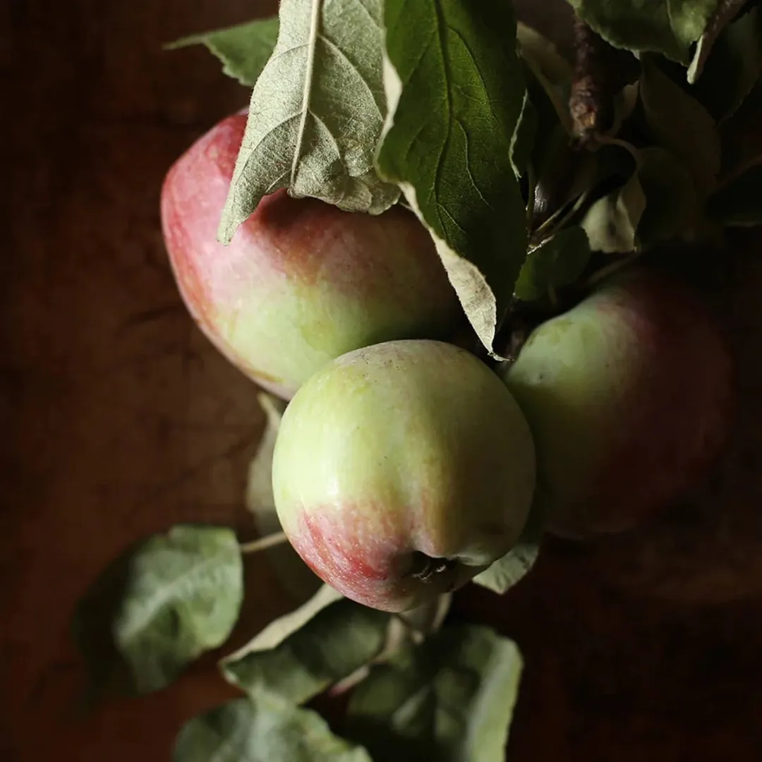 Ruby Spiced Apple Shrub 12.7fl oz