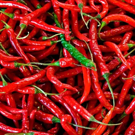 Chef Michael's Ruin Your Day Hot Sauce - 5 oz