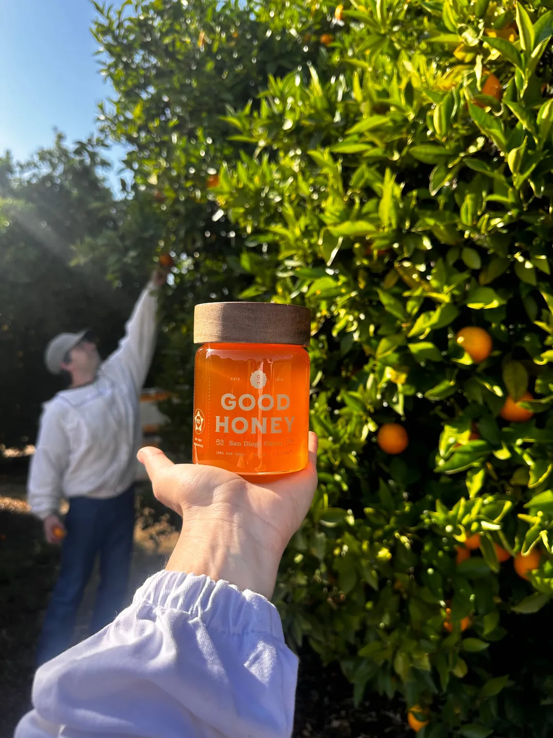 5lb  San Diego Citrus Jugs