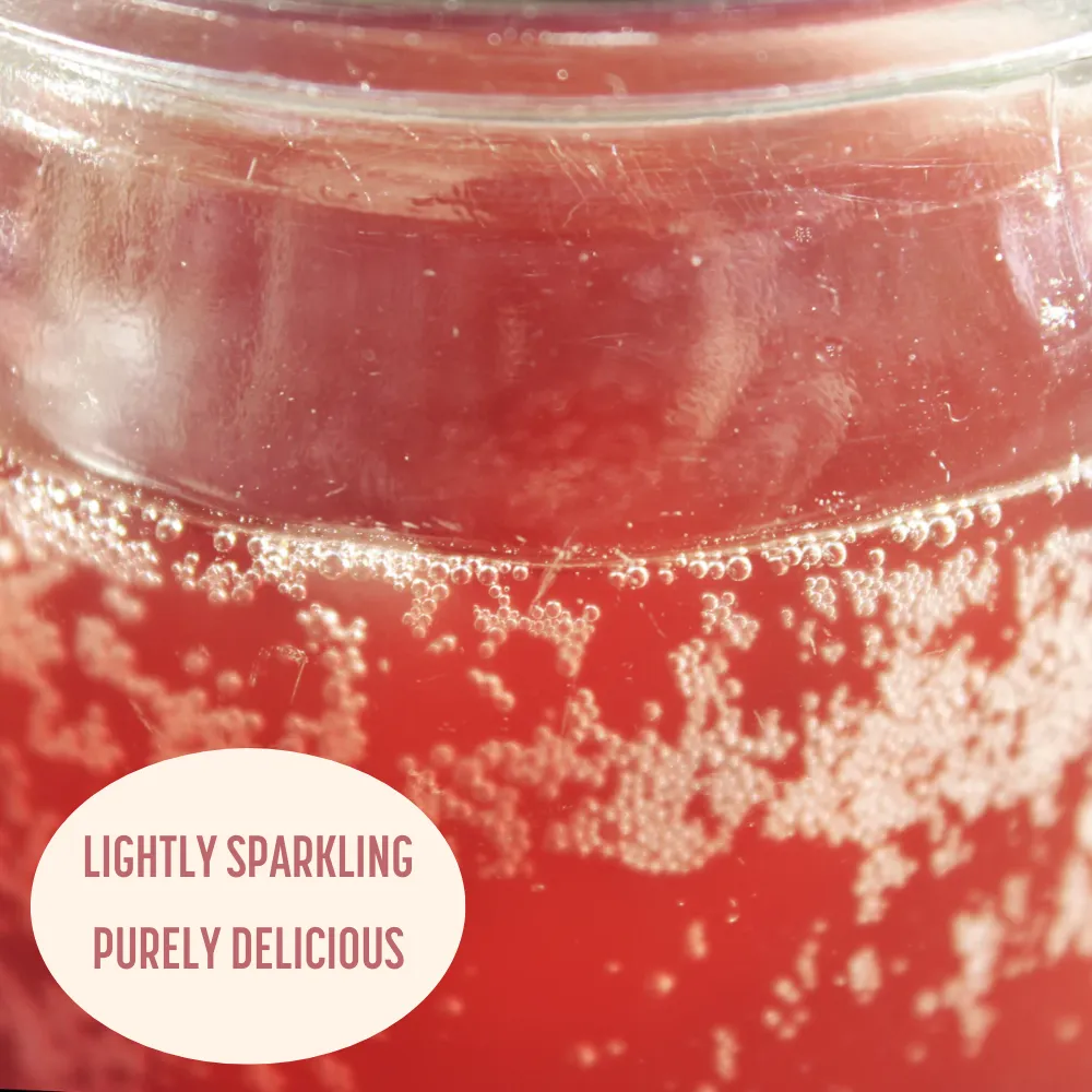 Hibiscus Lemon Probiotic Soda - No Added Sugar; Hand-Crafted