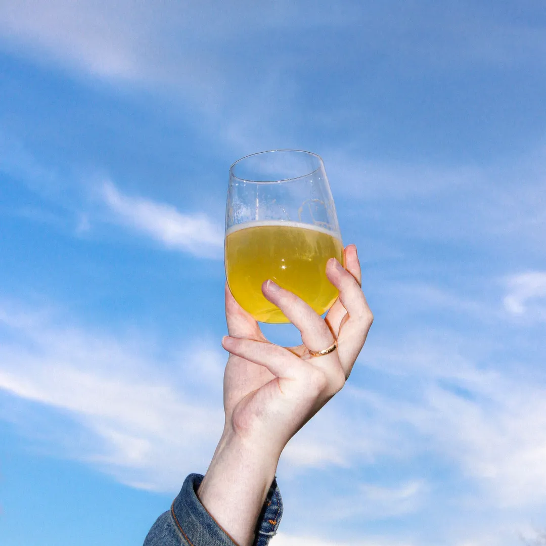 Piña Colada Probiotic Soda -  No Added Sugar; Hand-Crafted