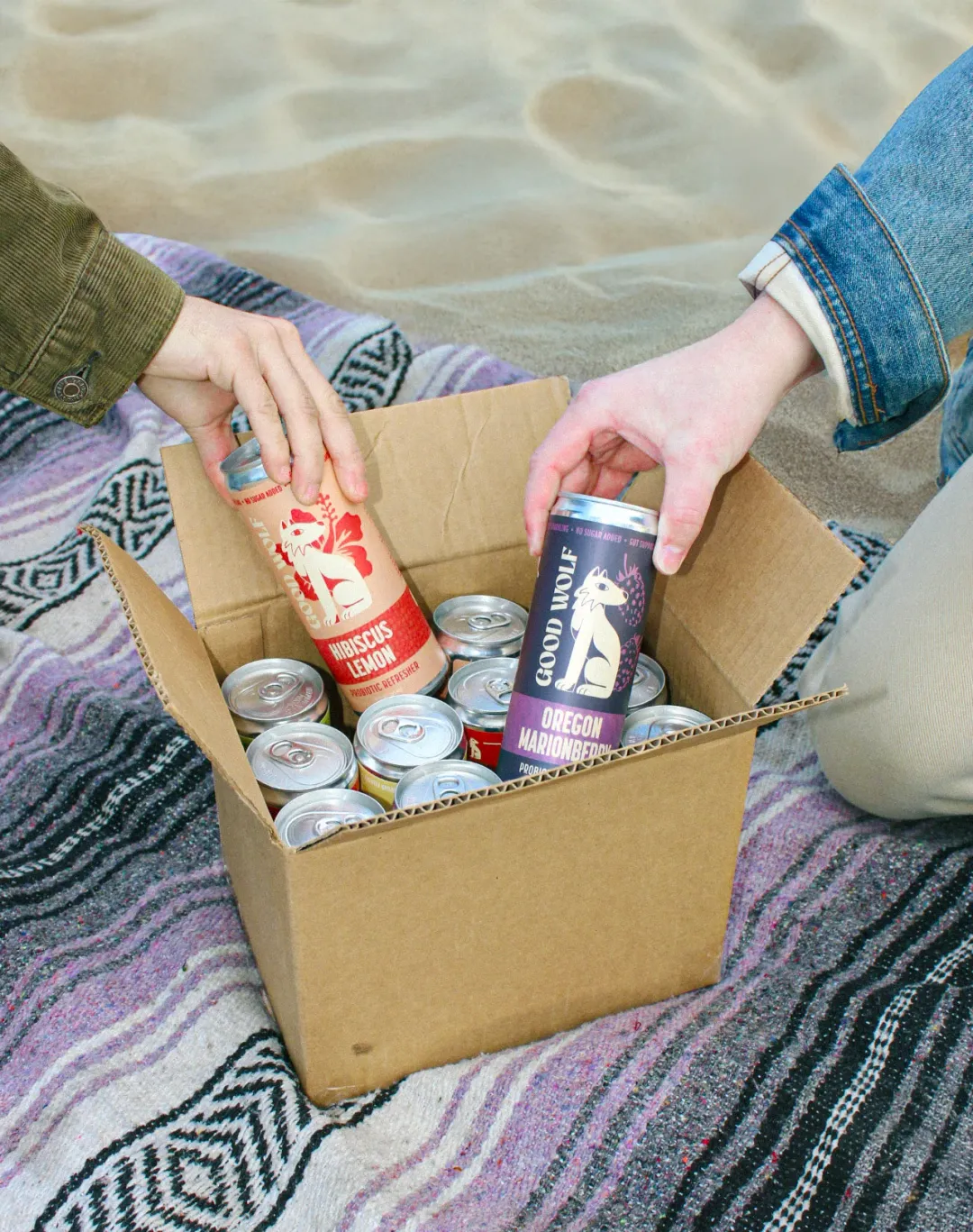 Probiotic Soda Variety Pack - No Added Sugar; Hand-Crafted