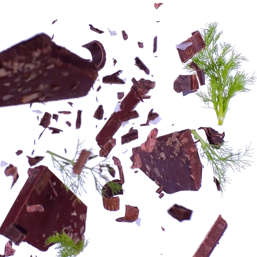 Fennel Chocolate 49%