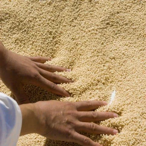 M’Hamsa Hand-Rolled Couscous | Moulin Mahjoub 5 kilo tin