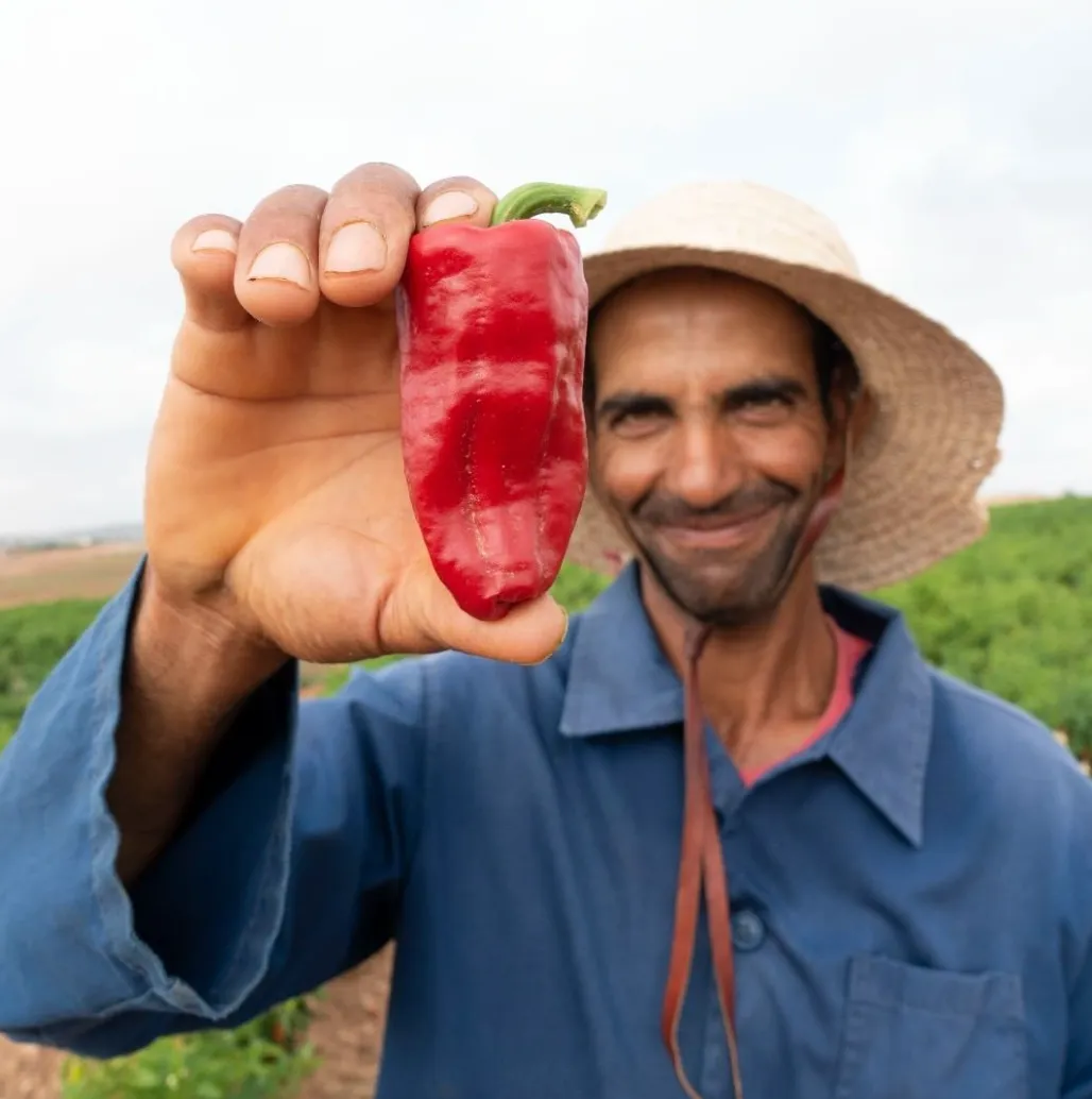 Organic Tunisian Harissa | Moulin Mahjoub