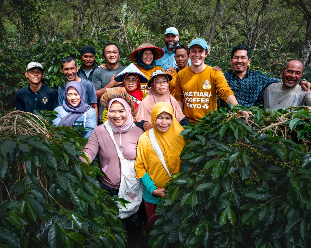 Single Origin Indonesia (dark roast)