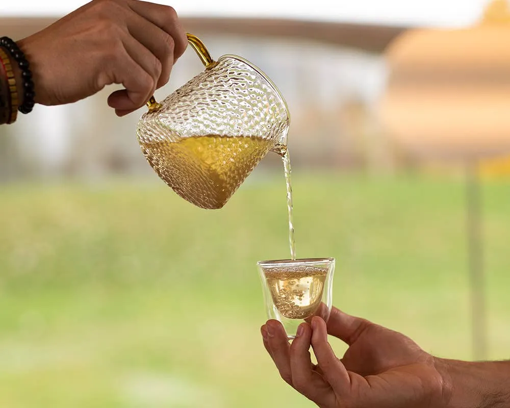 Jasmine Green Tea
