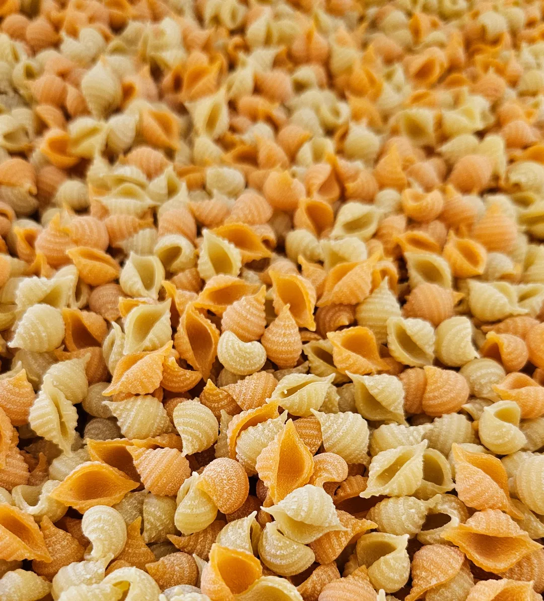 Habanero Shells