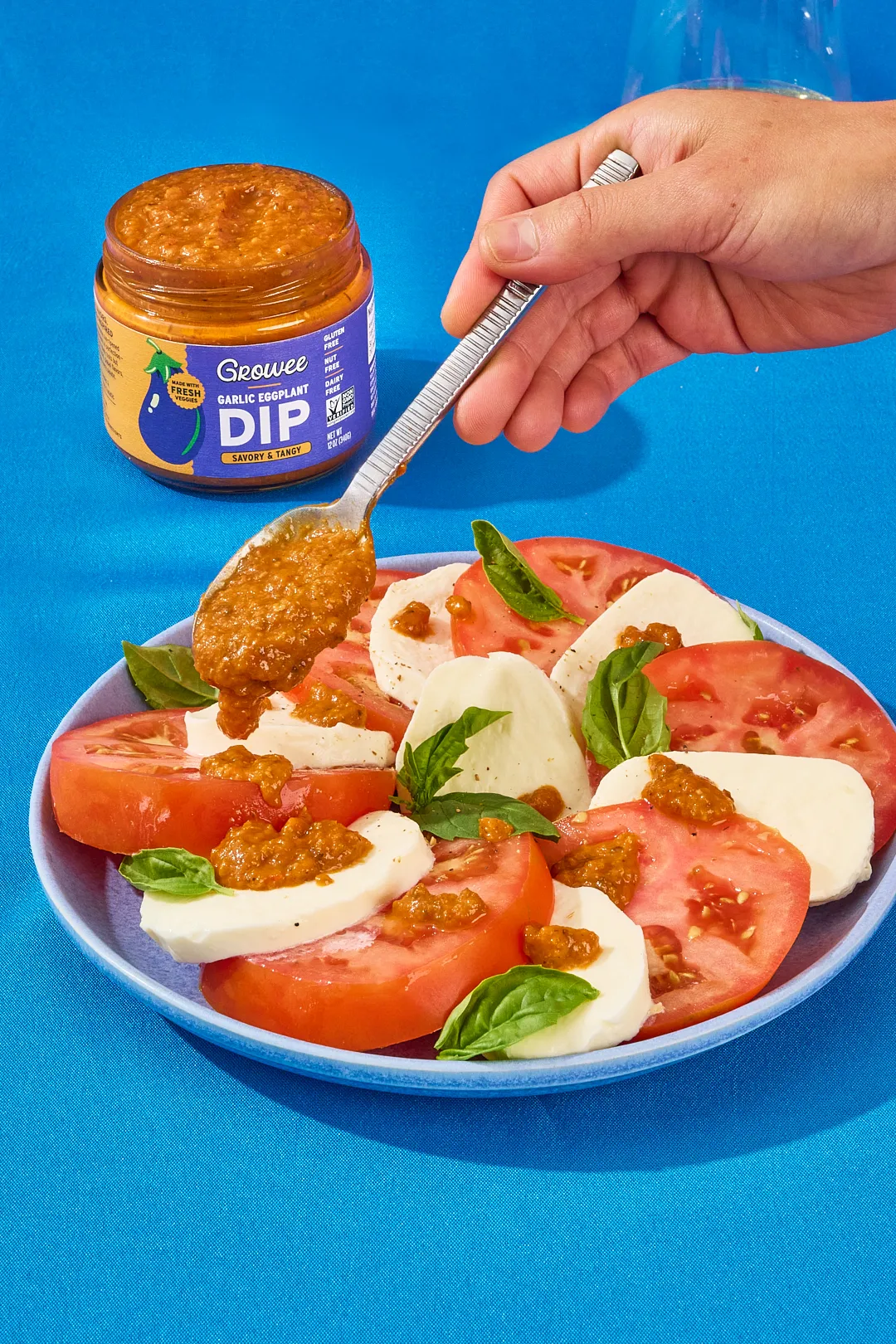 Garlic Eggplant Dip, Sauce, Spread, Plant-Based (12 oz)