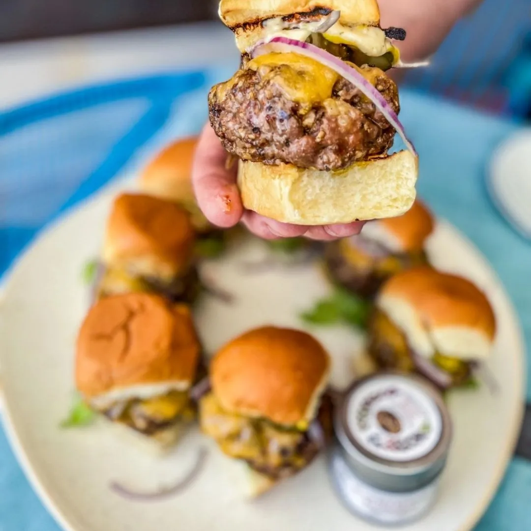 Everything But The Burger Seasoning