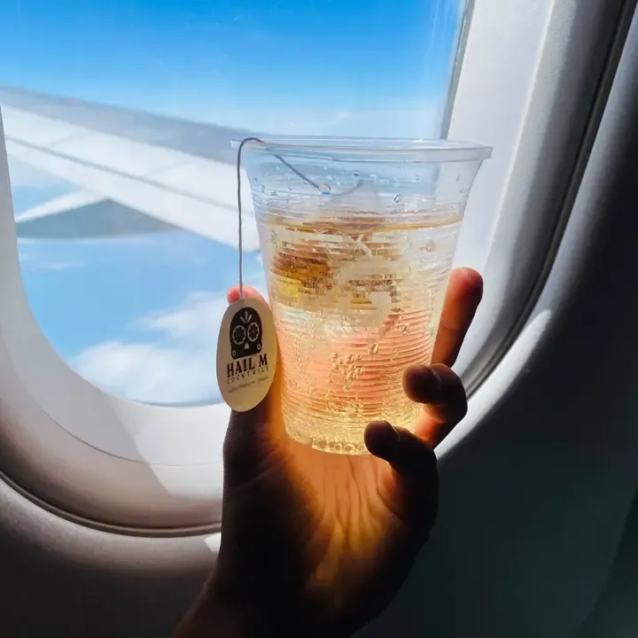 Old Fashioned Cocktail Infusion Tea Bag - To Go Travel Mixer