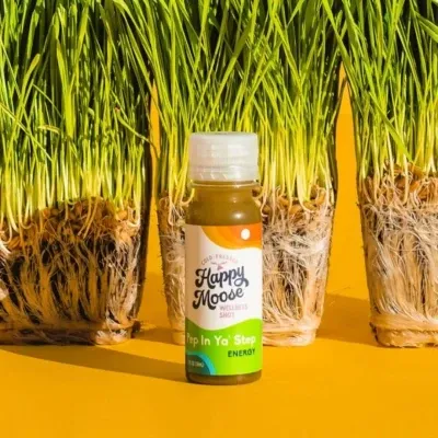Wellness Shots - Variety Pack - 1 Case of Each Recipe