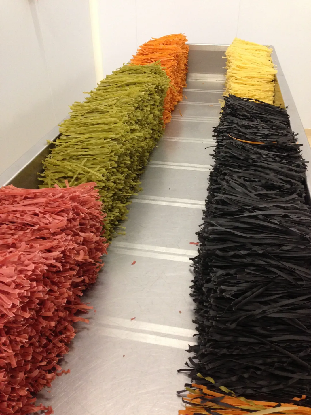 Agrozimi Vegetable Tagliatelle