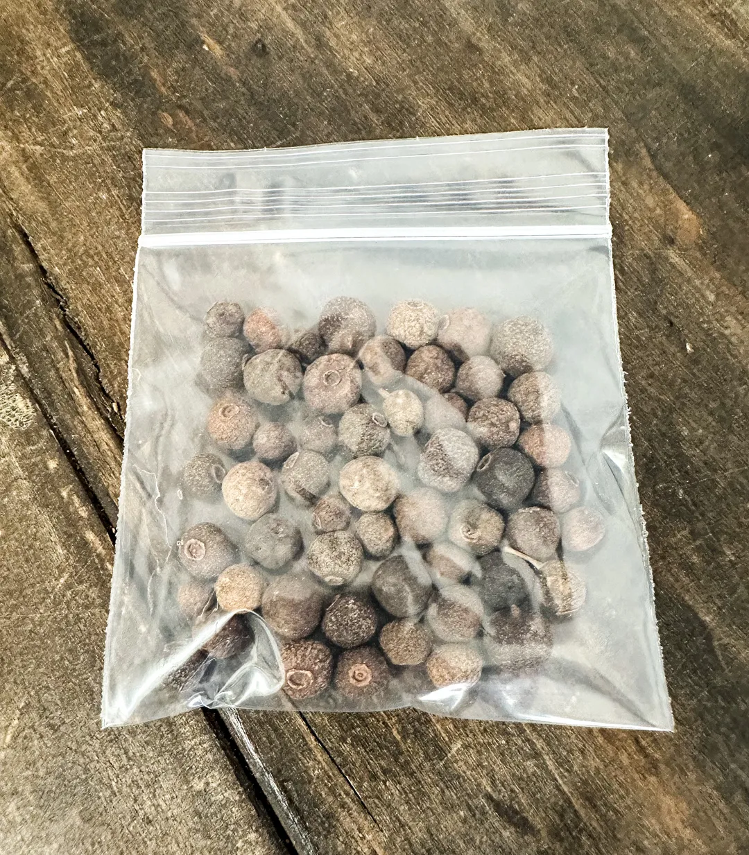 Allspice-No Labels