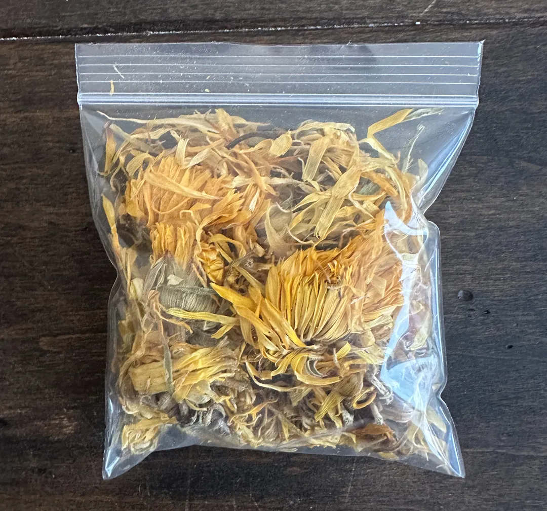 Calendula - No Labels