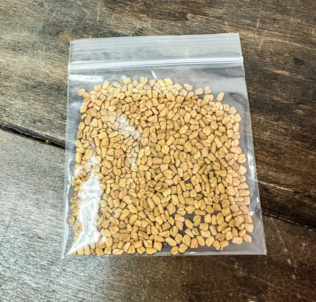 Fenugreek seeds - No Labels