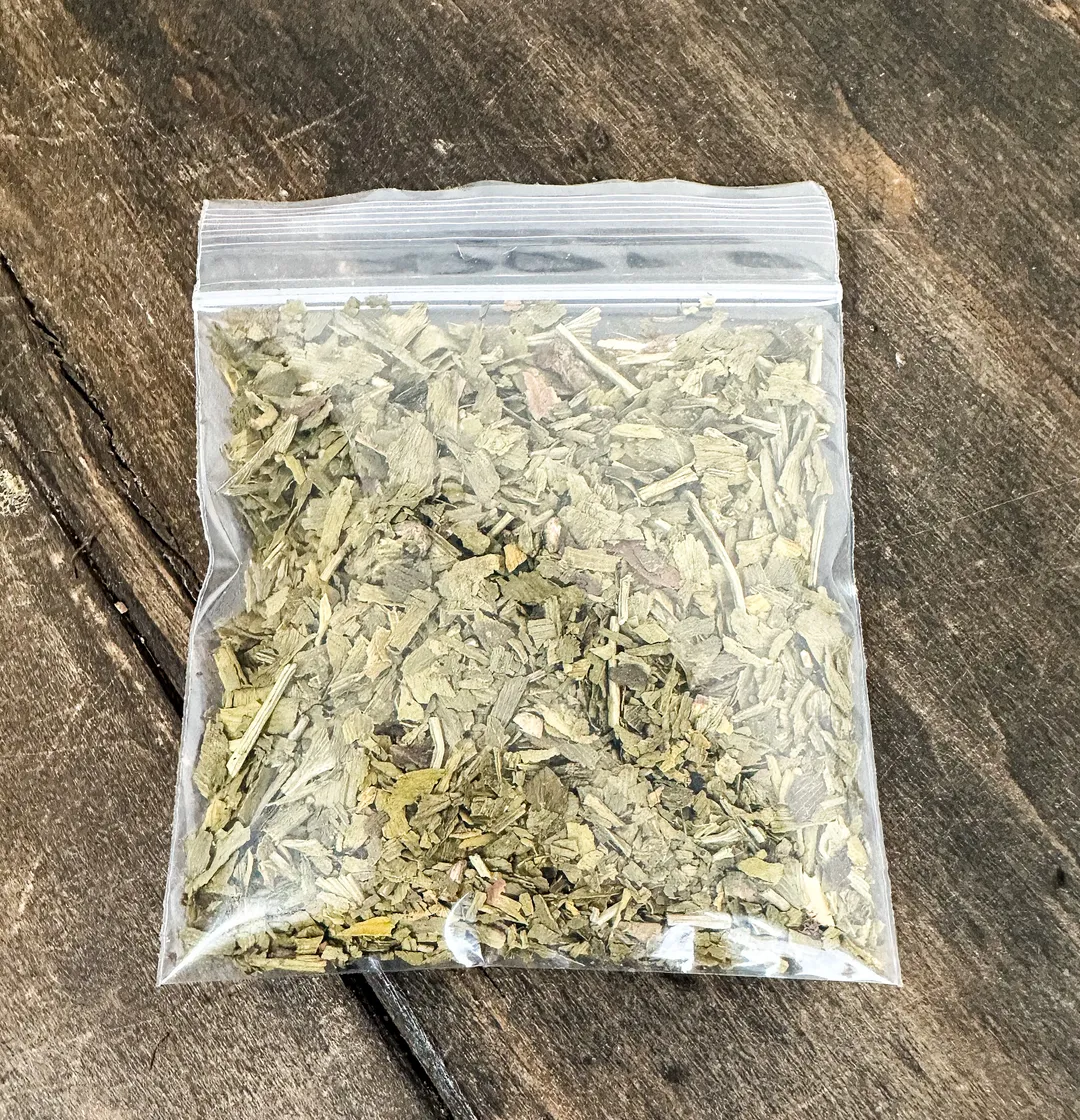 Ginkgo Leaf-No Labels