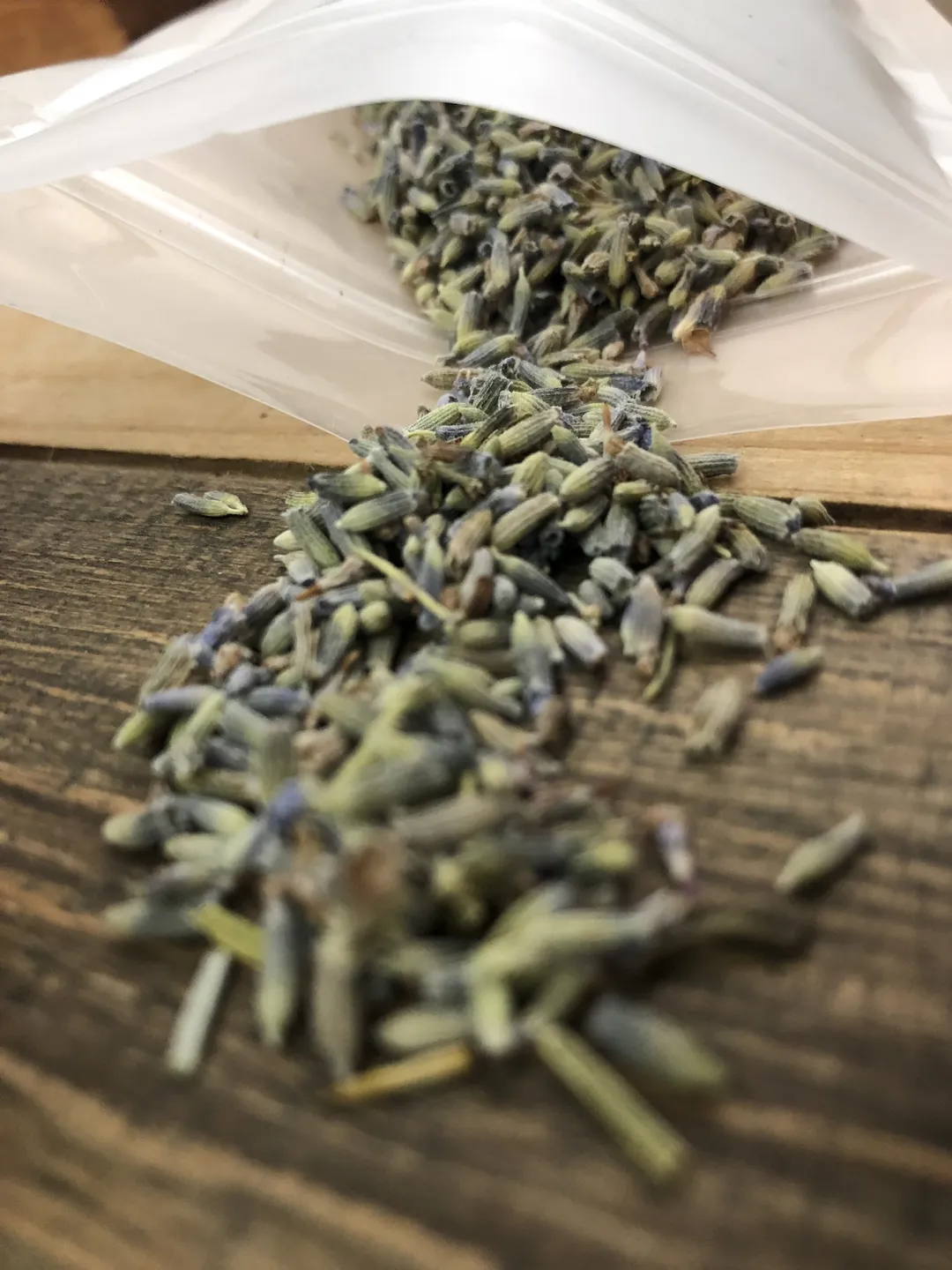 Lavender flower buds - No Labels